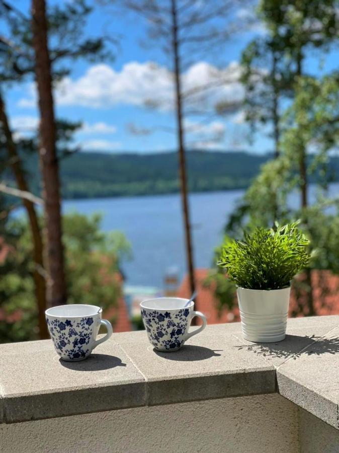 Apartman Ctyrlistek Lipno Lejlighed Lipno nad Vltavou Eksteriør billede